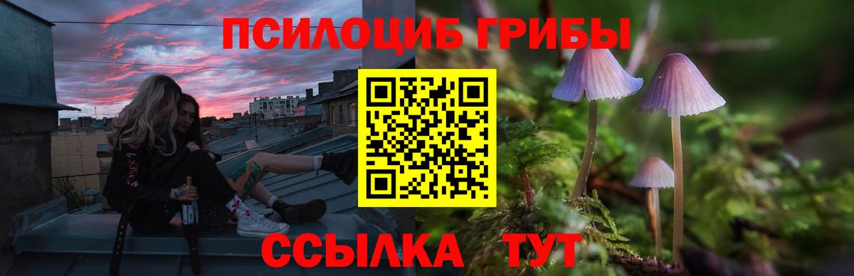 Сибай  Псилоцибиновые грибы Magic Shrooms  Вход с VPN 